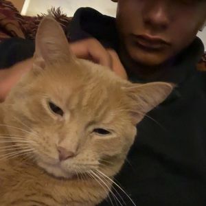 Meet your Posher, Dark